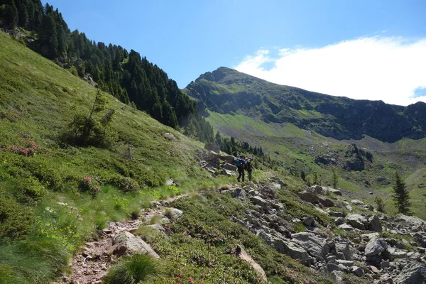 Cordilheira Lagorai Nos Alpes Orientais Trentino Itália — Fotografia de Stock