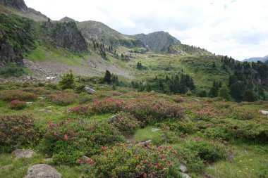  Lagorai dağ silsilesi Doğu Alpleri'nde Trentino, İtalya