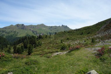Lagorai dağ silsilesi Doğu Alpleri'nde Trentino, İtalya