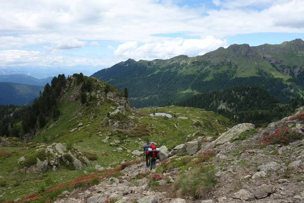  Lagorai dağ silsilesi Doğu Alpleri'nde Trentino, İtalya