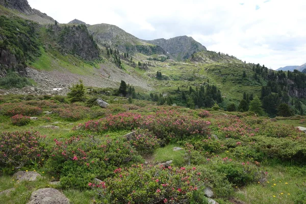  Lagorai dağ silsilesi Doğu Alpleri'nde Trentino, İtalya