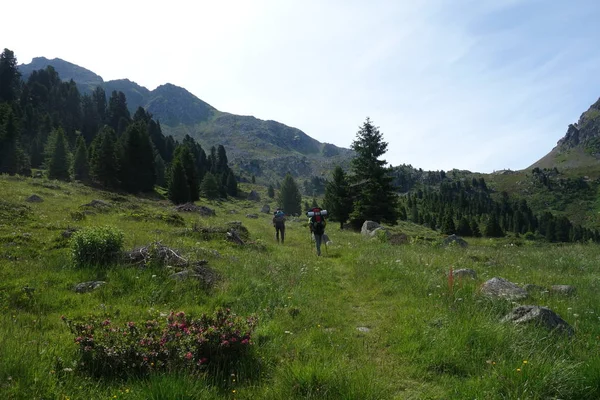 Bergskedjan Lagorai Östra Alperna Trentino Italien — Stockfoto