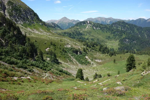 Pasmo Górskie Lagorai Alpach Wschodnich Trentino Italy — Zdjęcie stockowe