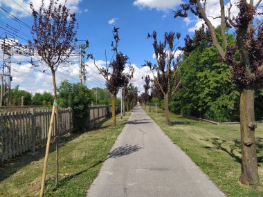 Poggio Renatico 'nun resmi, Ferrara, İtalya