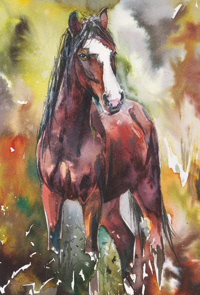 Kahverengi mustang aygır. Suluboya resim. 