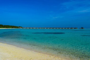 Beyaz kumlu güneşli sahil, hindistan cevizi palmiyeleri ve turkuaz deniz. Yaz tatili ve tropik plaj konsepti. Maldiv Adası 'ndaki su baskını.