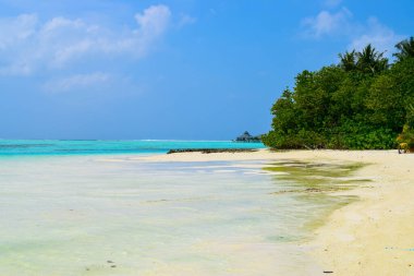 Beyaz kumlu güneşli sahil, hindistan cevizi palmiyeleri ve turkuaz deniz. Yaz tatili ve tropik plaj konsepti. Maldiv Adası 'ndaki su baskını.