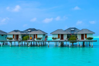 Beyaz kumlu güneşli sahil, hindistan cevizi palmiyeleri ve turkuaz deniz. Yaz tatili ve tropik plaj konsepti. Maldiv Adası 'ndaki su baskını.