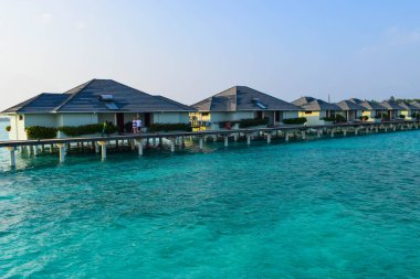 Beyaz kumlu güneşli sahil, hindistan cevizi palmiyeleri ve turkuaz deniz. Yaz tatili ve tropik plaj konsepti. Maldiv Adası 'ndaki su baskını.