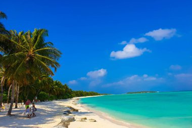 Beyaz kumlu güneşli sahil, hindistan cevizi palmiyeleri ve turkuaz deniz. Yaz tatili ve tropik plaj konsepti. Maldiv Adası 'ndaki su baskını.