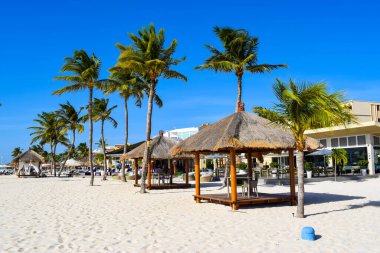 Palmiye ağaçları, beyaz plaj şemsiyeleri ve güneşli bir günde birkaç bulutla Aruba 'nın doğu yakasındaki Eagle Beach' in romantik Bucuti & Tara Resort 'unun nefes kesici manzarası.