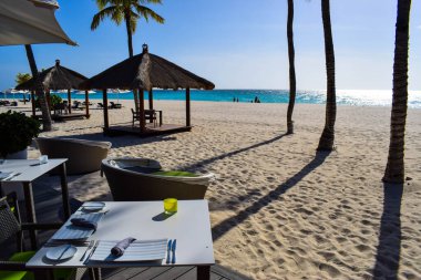 Palmiye ağaçları, beyaz plaj şemsiyeleri ve güneşli bir günde birkaç bulutla Aruba 'nın doğu yakasındaki Eagle Beach' in romantik Bucuti & Tara Resort 'unun nefes kesici manzarası.