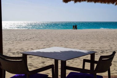 Palmiye ağaçları, beyaz plaj şemsiyeleri ve güneşli bir günde birkaç bulutla Aruba 'nın doğu yakasındaki Eagle Beach' in romantik Bucuti & Tara Resort 'unun nefes kesici manzarası.