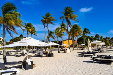 Palmiye ağaçları, beyaz plaj şemsiyeleri ve güneşli bir günde birkaç bulutla Aruba 'nın doğu yakasındaki Eagle Beach' in romantik Bucuti & Tara Resort 'unun nefes kesici manzarası.