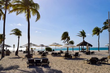 Palmiye ağaçları, beyaz plaj şemsiyeleri ve güneşli bir günde birkaç bulutla Aruba 'nın doğu yakasındaki Eagle Beach' in romantik Bucuti & Tara Resort 'unun nefes kesici manzarası.