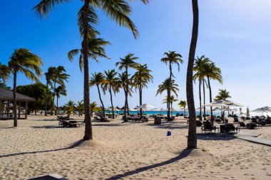 Palmiye ağaçları, beyaz plaj şemsiyeleri ve güneşli bir günde birkaç bulutla Aruba 'nın doğu yakasındaki Eagle Beach' in romantik Bucuti & Tara Resort 'unun nefes kesici manzarası.