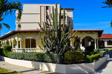 Palmiye ağaçları, beyaz plaj şemsiyeleri ve güneşli bir günde birkaç bulutla Aruba 'nın doğu yakasındaki Eagle Beach' in romantik Bucuti & Tara Resort 'unun nefes kesici manzarası.