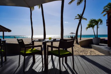 Palmiye ağaçları, beyaz plaj şemsiyeleri ve güneşli bir günde birkaç bulutla Aruba 'nın doğu yakasındaki Eagle Beach' in romantik Bucuti & Tara Resort 'unun nefes kesici manzarası.