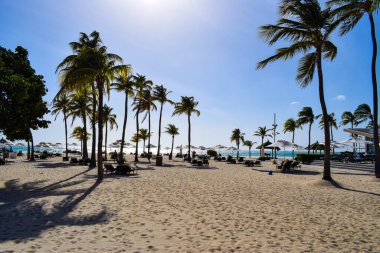 Palmiye ağaçları, beyaz plaj şemsiyeleri ve güneşli bir günde birkaç bulutla Aruba 'nın doğu yakasındaki Eagle Beach' in romantik Bucuti & Tara Resort 'unun nefes kesici manzarası.