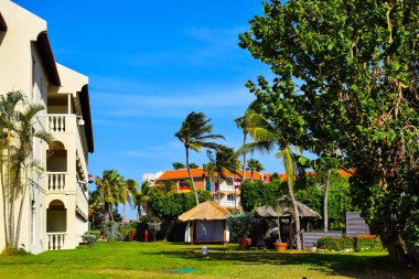 Palmiye ağaçları, beyaz plaj şemsiyeleri ve güneşli bir günde birkaç bulutla Aruba 'nın doğu yakasındaki Eagle Beach' in romantik Bucuti & Tara Resort 'unun nefes kesici manzarası.