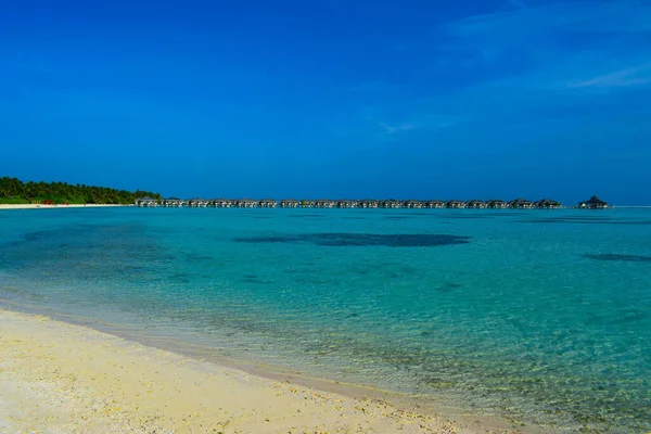 Солнечный Пляж Белым Песком Кокосовыми Пальмами Бирюзовым Морем Концепция Летнего — стоковое фото