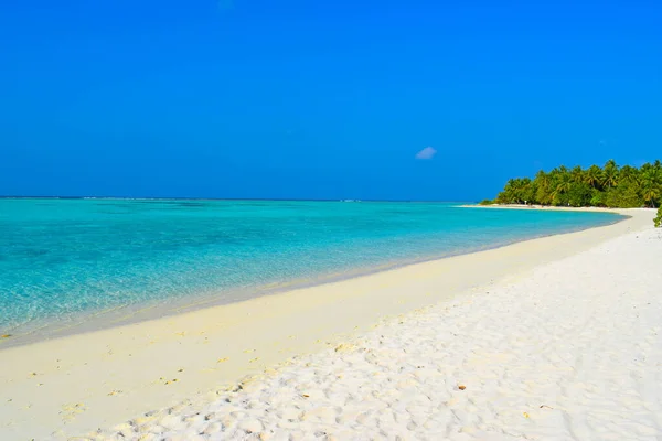 Сонячний Пляж Білим Піском Кокосовими Пальмами Бірюзовим Морем Літня Відпустка — стокове фото
