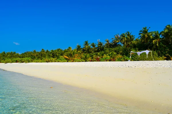 Sunny Beach White Sand Coconut Palm Trees Turquoise Sea Summer — Stock Photo, Image