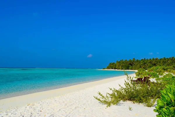 Slunečná Pláž Bílým Pískem Kokosovými Palmami Tyrkysovým Mořem Letní Dovolená — Stock fotografie