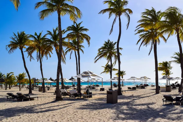 Palmiye ağaçları, beyaz plaj şemsiyeleri ve güneşli bir günde birkaç bulutla Aruba 'nın doğu yakasındaki Eagle Beach' in romantik Bucuti & Tara Resort 'unun nefes kesici manzarası.