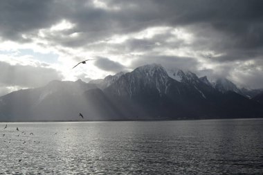 Montreux, İsviçre - 29 Aralık 2011: Cenevre Gölü yakınlarındaki harika küçük bir kasaba olan Montreaux 'nun Beaufitul manzarası