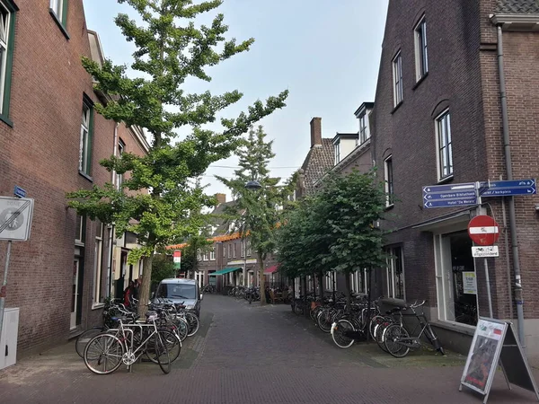 Blick Auf Ede Wageningen Schöne Stadt Den Niederlanden Mit Bedeutendem — Stockfoto