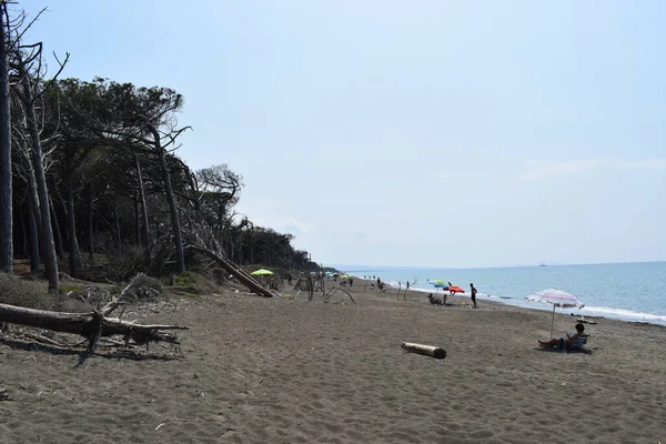 Strand Zee Van Marina Cecina Maremma Toscane Italië Europa — Stockfoto