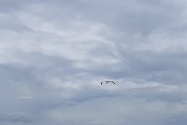 Miami Beach Abd Amerika Birleşik Devletleri — Stok fotoğraf