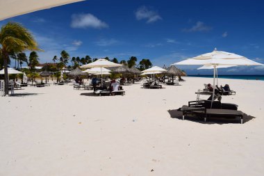 Palmiye ağaçları ve turkuaz suyla ünlü Aruba sahilinin panoramik manzarası.