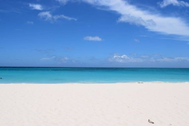 Palmiye ağaçları ve turkuaz suyla ünlü Aruba sahilinin panoramik manzarası.