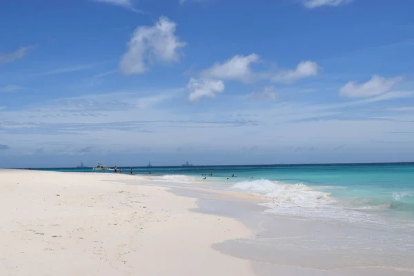 Panoramic View Beach Aruba Famous Palm Trees Turquoise Water — Stock Photo, Image
