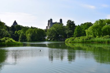 New York, Amerika Birleşik Devletleri - 17 Haziran 2020: Güneşli bir yaz gününde New York 'taki güzel Central Park