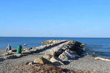 Marina di Cecina (Cecina Mare), İtalya 'nın Tuscany, Livorno, İtalya' da yer alan bir çam ağacıyla ünlü sahil kenti manzarası.