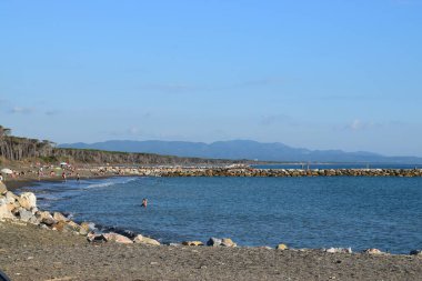 Marina di Cecina (Cecina Mare), İtalya 'nın Tuscany, Livorno, İtalya' da yer alan bir çam ağacıyla ünlü sahil kenti manzarası.