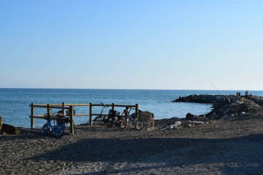 Marina di Cecina (Cecina Mare), İtalya 'nın Tuscany, Livorno, İtalya' da yer alan bir çam ağacıyla ünlü sahil kenti manzarası.