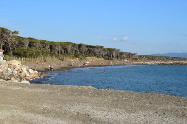 Marina di Cecina (Cecina Mare), İtalya 'nın Tuscany, Livorno, İtalya' da yer alan bir çam ağacıyla ünlü sahil kenti manzarası.