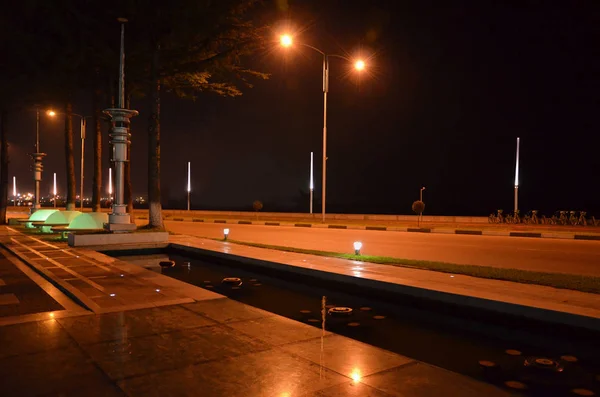 Városképet Gazdagító Épületnek Szánták Batumi Látképe Üres Éjszaka — Stock Fotó