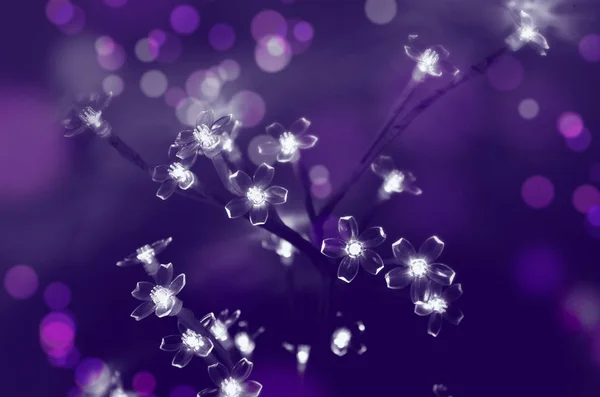 Abstract Background Glowing Bulbs Form Flowers Dark Purple Background — Stock Photo, Image