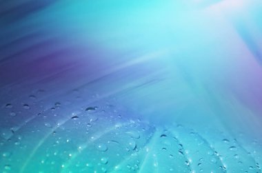 Bir closeup yaprak ve yağmur su ile mavi ve mor arka plan üstünde o, boş alan bırakır. Görüntü.