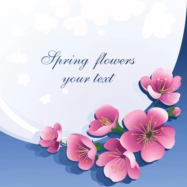 Spring pink flowers on white with blue background. Design for the spring season, wedding invitation, discount coupon and free space for text. Vector.