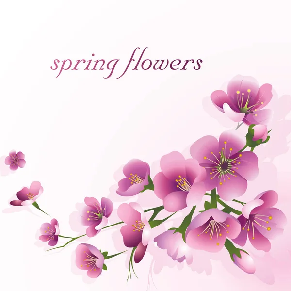 Flores Primavera Fundo Rosa Claro Design Para Temporada Primavera Convite — Vetor de Stock