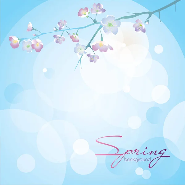 白の背景に青の桜の枝 春の季節 結婚式の招待 割引クーポン テキスト用の空き容量の設計 ベクトル — ストックベクタ