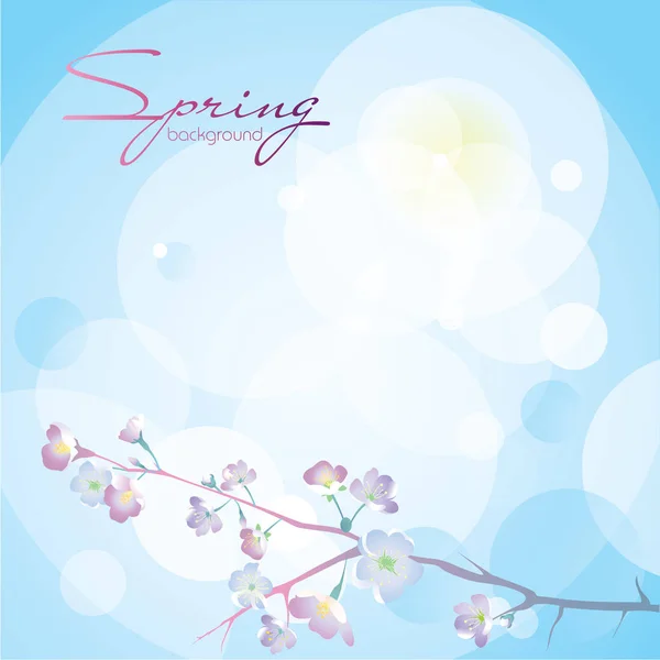 蓝色的背景与盛开的樱花的分支 为春季设计 婚礼邀请 优惠券和免费空间的文字 — 图库矢量图片