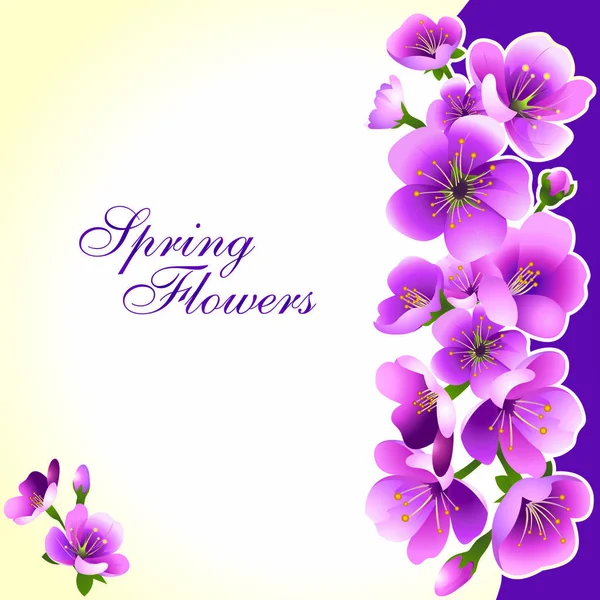 Frühlingsrosa Blüten Auf Beigem Hintergrund Mit Violettem Streifen Design Für — Stockvektor
