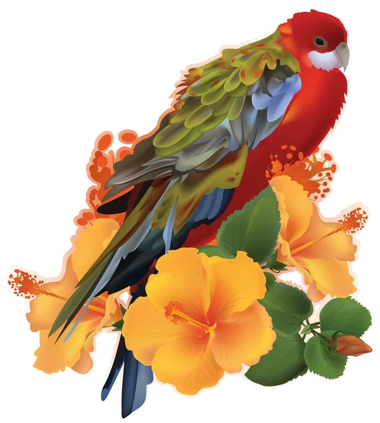 Parrot och gul tropiska blommor. — Stock vektor